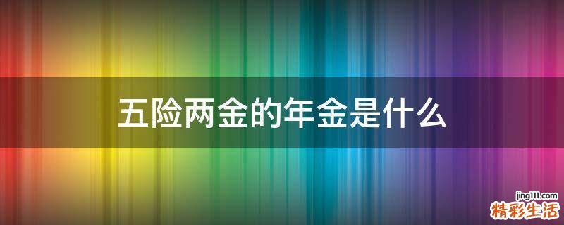 五险两金的年金是什么