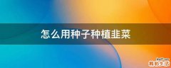 怎么用种子种植韭菜