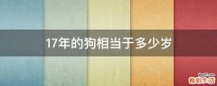 17年的狗相当于多少岁