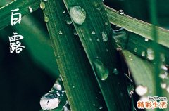 2023年白露可以下葬么 2023年白露可以扫墓吗