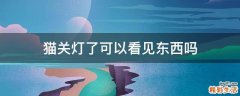 猫关灯了可以看见东西吗