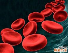 关于女性贫血的五大误区