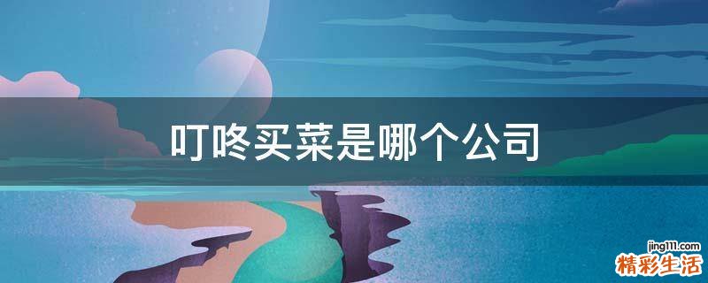 叮咚买菜是哪个公司