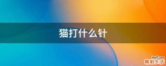 猫打什么针