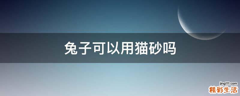 兔子可以用猫砂吗