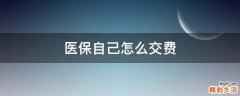 医保自己怎么交费