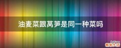 油麦菜跟莴笋是同一种菜吗