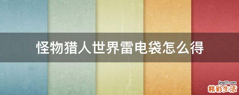 怪物猎人世界雷电袋怎么得