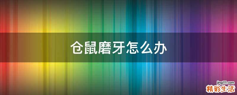 仓鼠磨牙怎么办