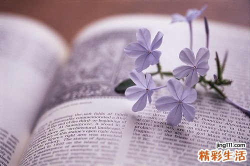 小儿Willms&amp;#39;瘤,小儿肾胚胎瘤,小儿肾胚细胞瘤,小儿肾脏混合瘤 小儿肾母细胞瘤