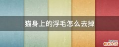 猫身上的浮毛怎么去掉