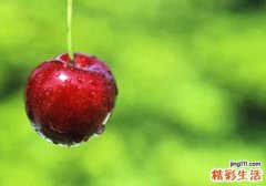 贫血吃什么水果好