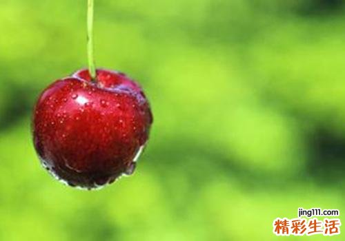 贫血吃什么水果好