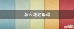 怎么炖老母鸡