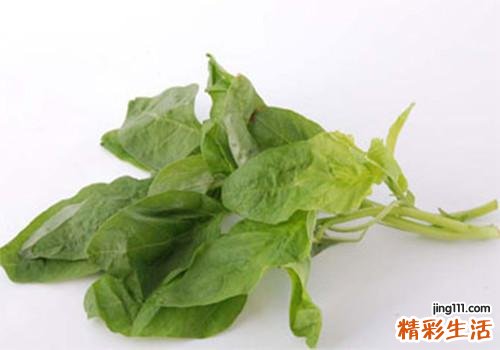 苋菜补血吗