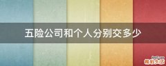 五险公司和个人分别交多少