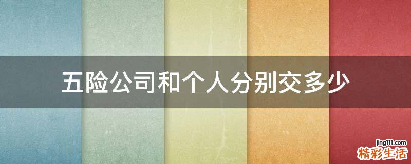 五险公司和个人分别交多少
