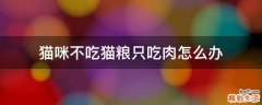 猫咪不吃猫粮只吃肉怎么办