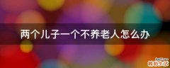 两个儿子一个不养老人怎么办