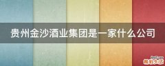贵州金沙酒业集团是一家什么公司