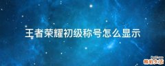 王者荣耀初级称号怎么显示