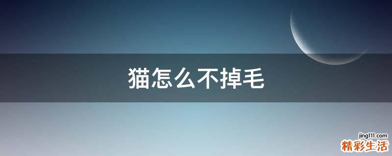 猫怎么不掉毛