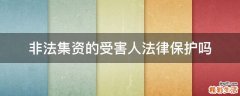 非法集资的受害人法律保护吗