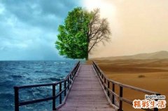 慢性疼痛的原因_慢性疼痛是怎么引起的