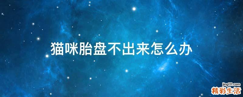 猫咪胎盘不出来怎么办