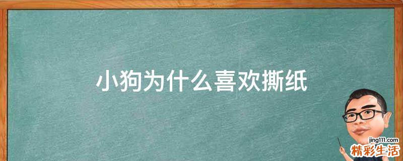 小狗为什么喜欢撕纸