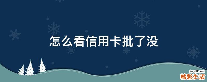 怎么看信用卡批了没