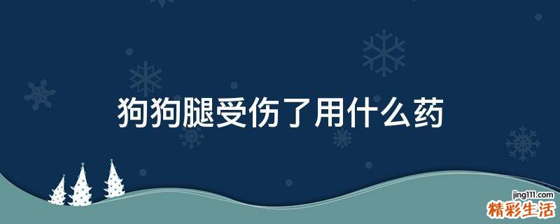 狗狗腿受伤了用什么药