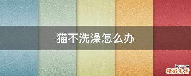 猫不洗澡怎么办