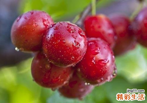 抽血后吃什么水果补血 这8种水果助你快速恢复元气