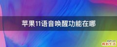 苹果11语音唤醒功能在哪