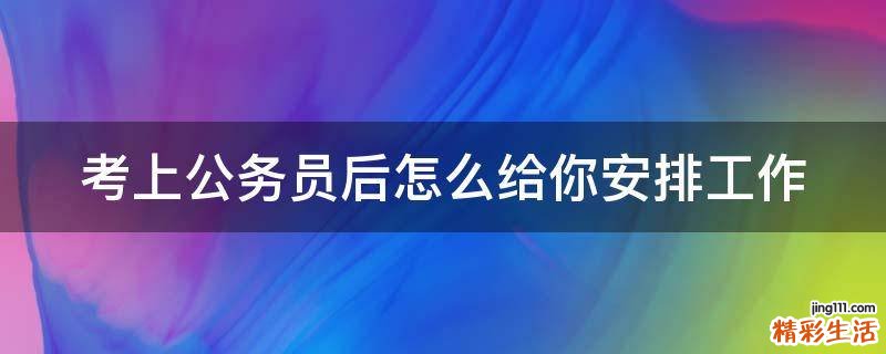 考上公务员后怎么给你安排工作