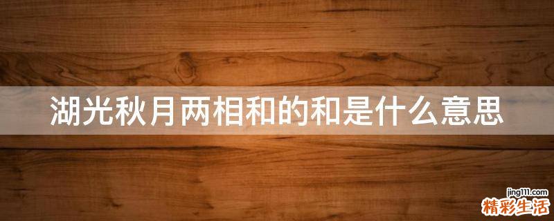 湖光秋月两相和的和是什么意思