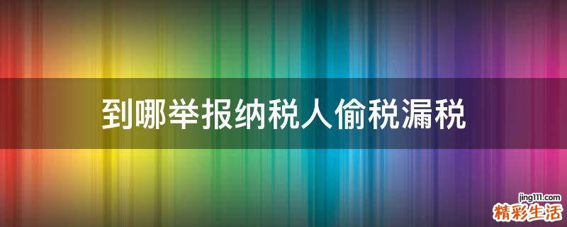 到哪举报纳税人偷税漏税