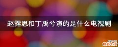 赵露思和丁禹兮演的是什么电视剧