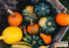 吃什么食物补血效果最好 这6道素食菜比阿胶更补血