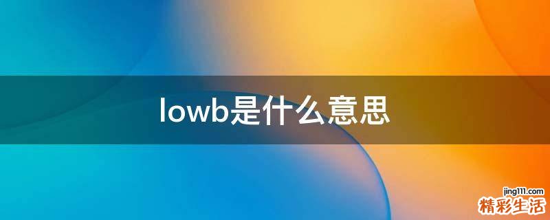 lowb是什么意思