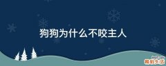 狗狗为什么不咬主人
