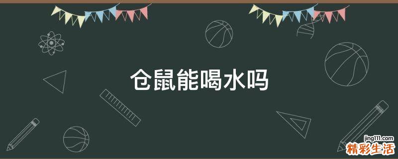 仓鼠能喝水吗