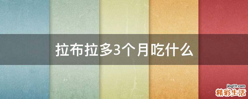 拉布拉多3个月吃什么