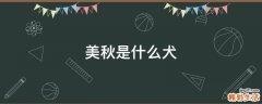 美秋是什么犬