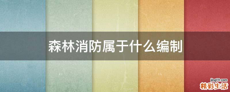 森林消防属于什么编制