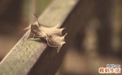 适合方脸女士的卷发发型