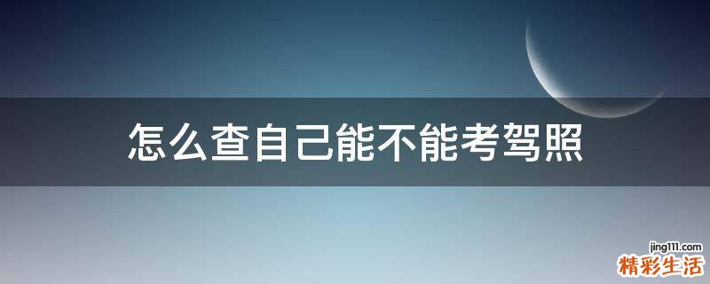 怎么查自己能不能考驾照