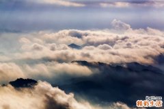 小叶金鸡尾巴草