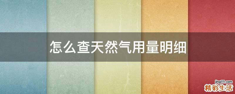 怎么查天然气用量明细